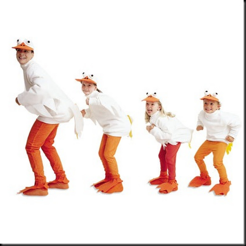 Homemade Duck Costume Ideas All Halloween